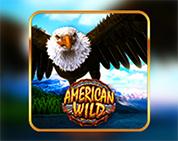 American Wild